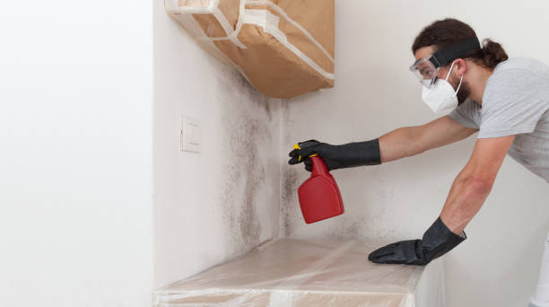 Professional Basement Mold Remediation technician working in Gladwyne, PA
