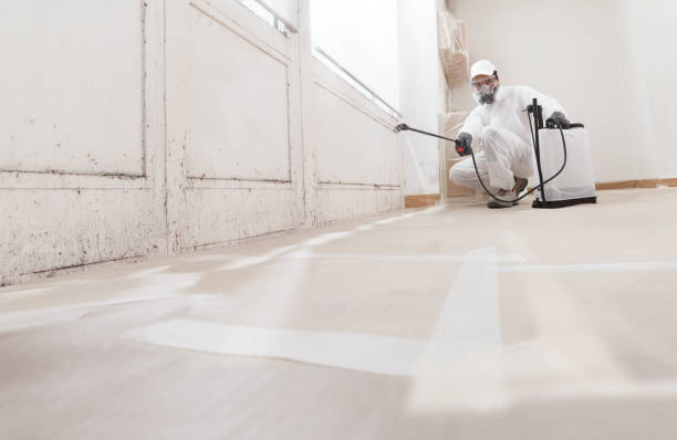 24/7 Emergency Basement Mold Remediation experts in Gladwyne, PA
