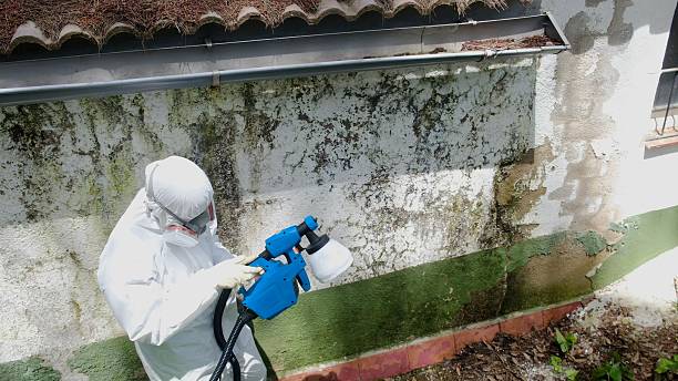 Top rated local Basement Mold Remediation specialists in Gladwyne, PA